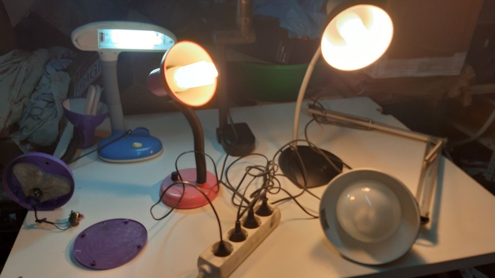 Candeeiros de mesa em promoção