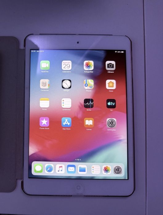 Ipad mini e Iphone Xs Max 64 Gb