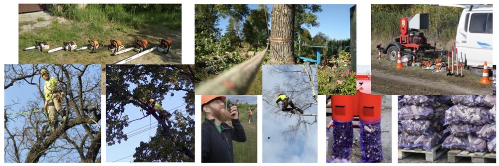 Зрізання аврійних дерев. Догляд. Послуги подрабнювача. Досвід Гарантія