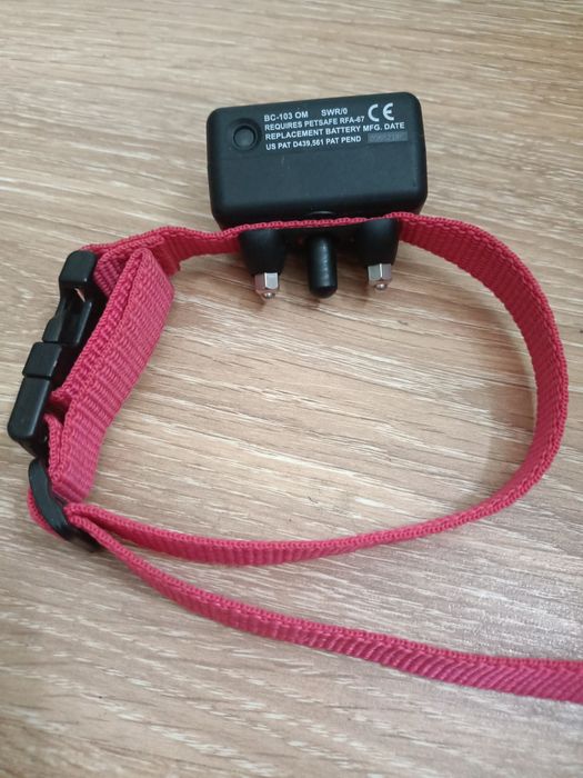 Електронний ощейник