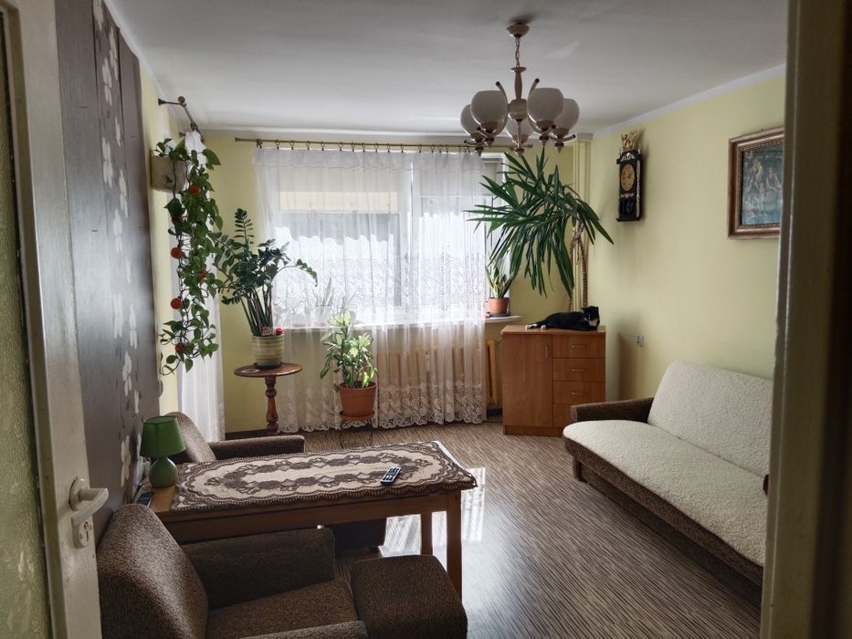 Mieszkanie na sprzedaż - Ełk, ul. Piłsudskiego 20 – 40 m² | 2 pokoje | parter | balkon