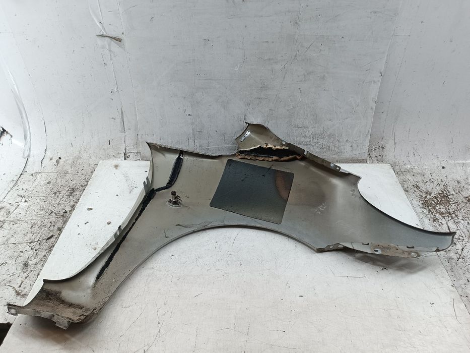Guarda Lamas Esquerdo - CITROËN Xsara Picasso (N68) | 99 - 12