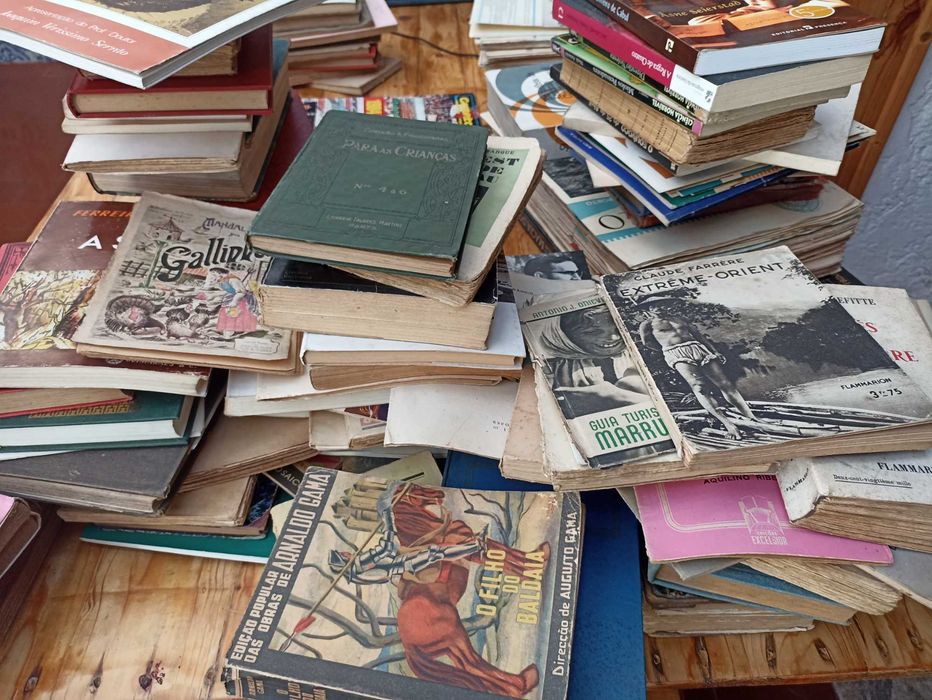 Lote livros diferentes