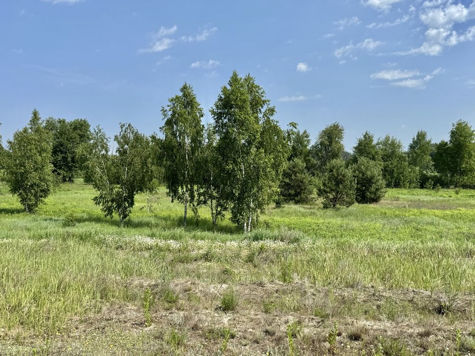 Продам 82сотки землі !!!  с.Мироцьке