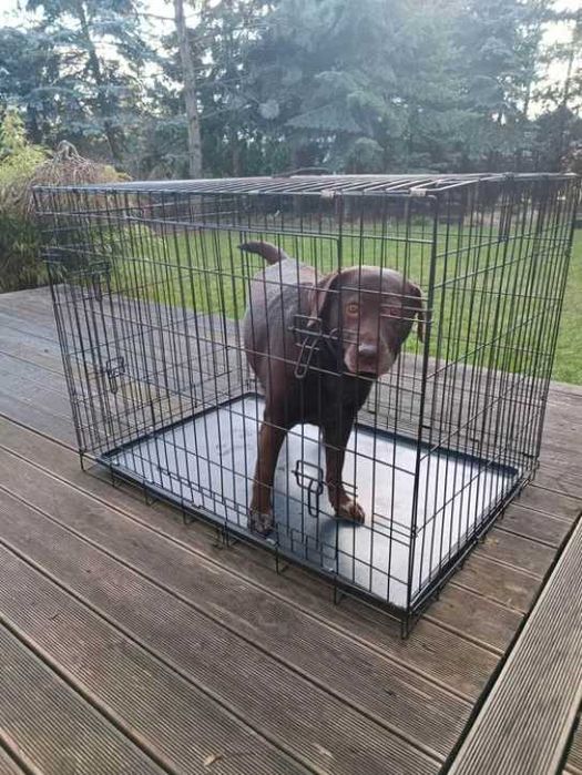 KLATKA METALOWA DLA PSA kennelowa składana zamykana XL 93CM kojec NOWY