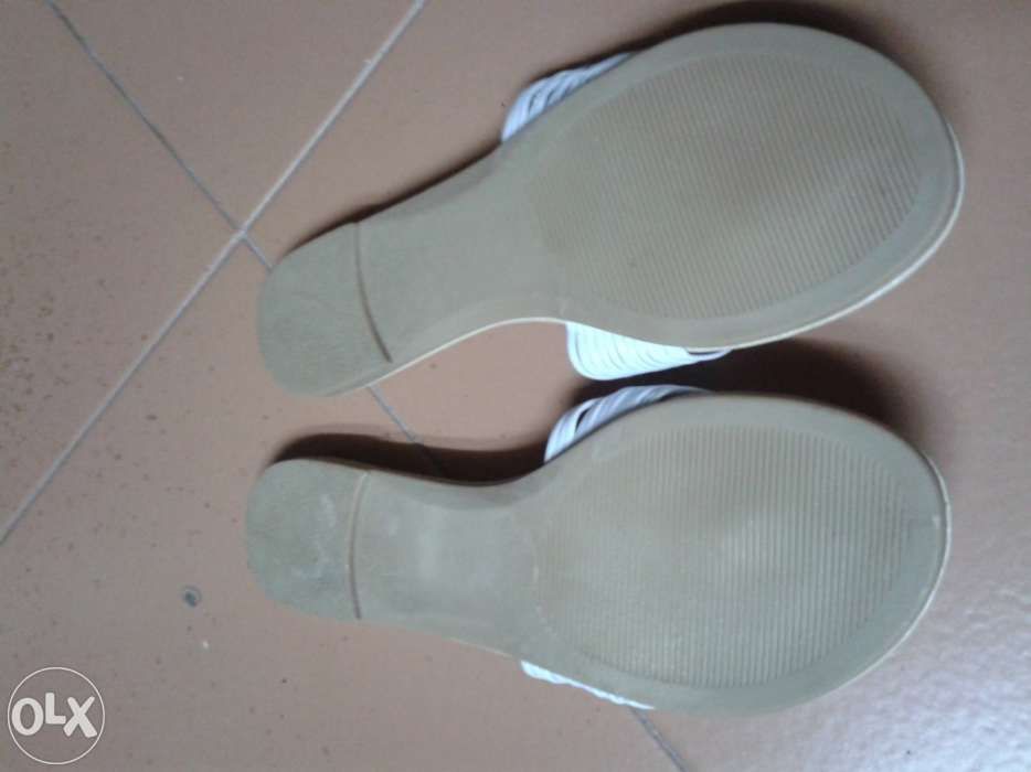 Chnelos 37 novos