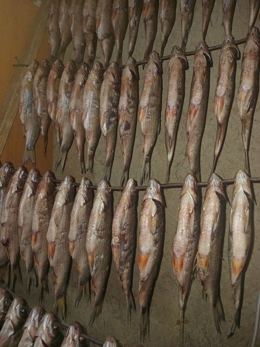 Тарань з плотви, рябця, под.ляща