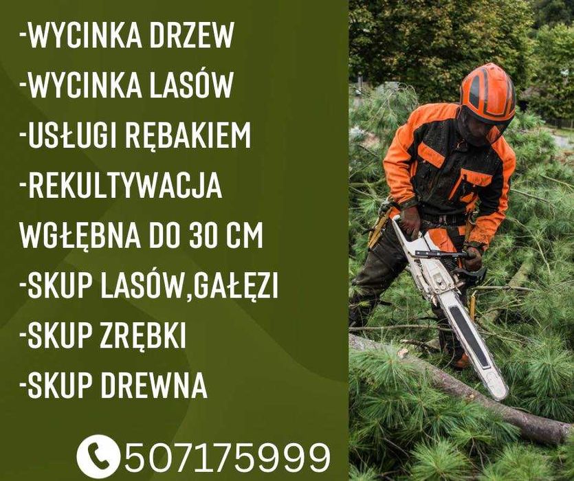 wycinka drzew,lasów,mulczowanie,rębak, karczowanie szybkie terminy