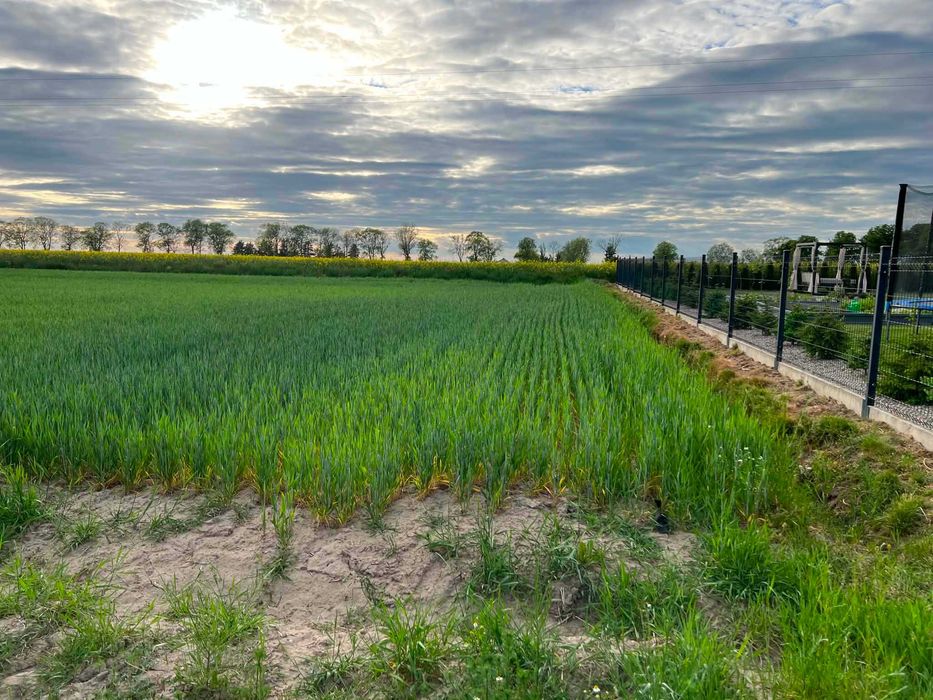 Działka z warunkami zabudowy o pow . 1277 m² - Widok 2
