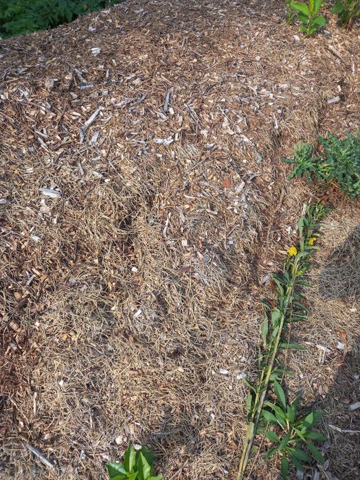 ZRĘBKA do ogrodu do pieca