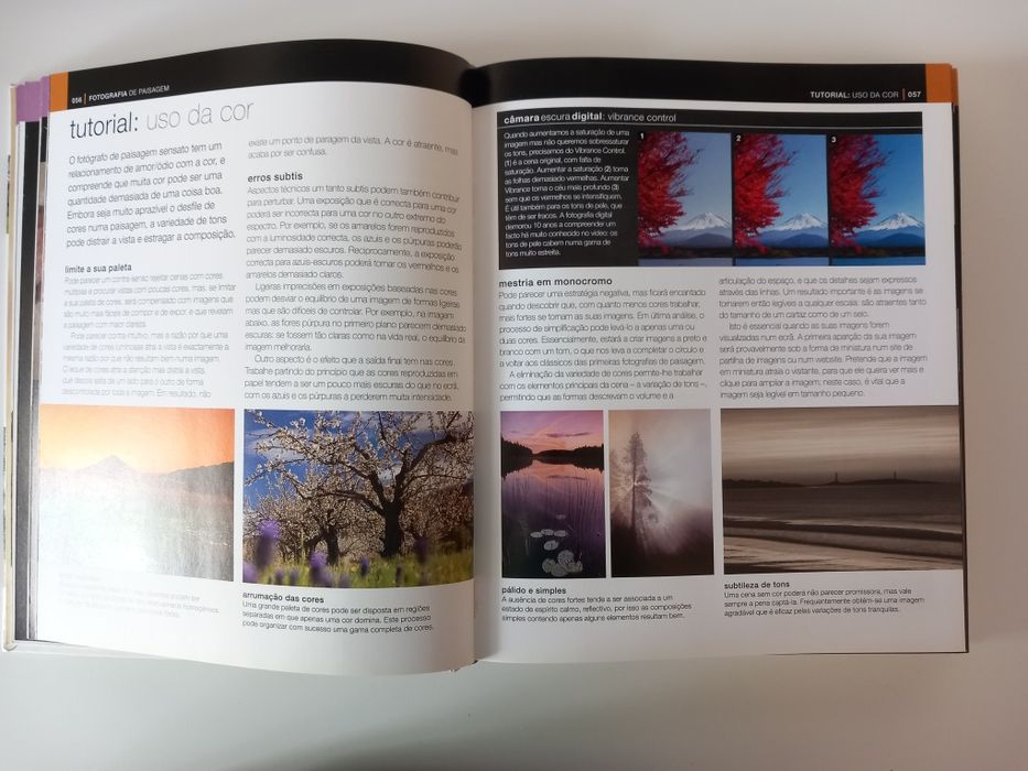 Livro: " Manuel Completo do Fotógrafo", de Tom Ang