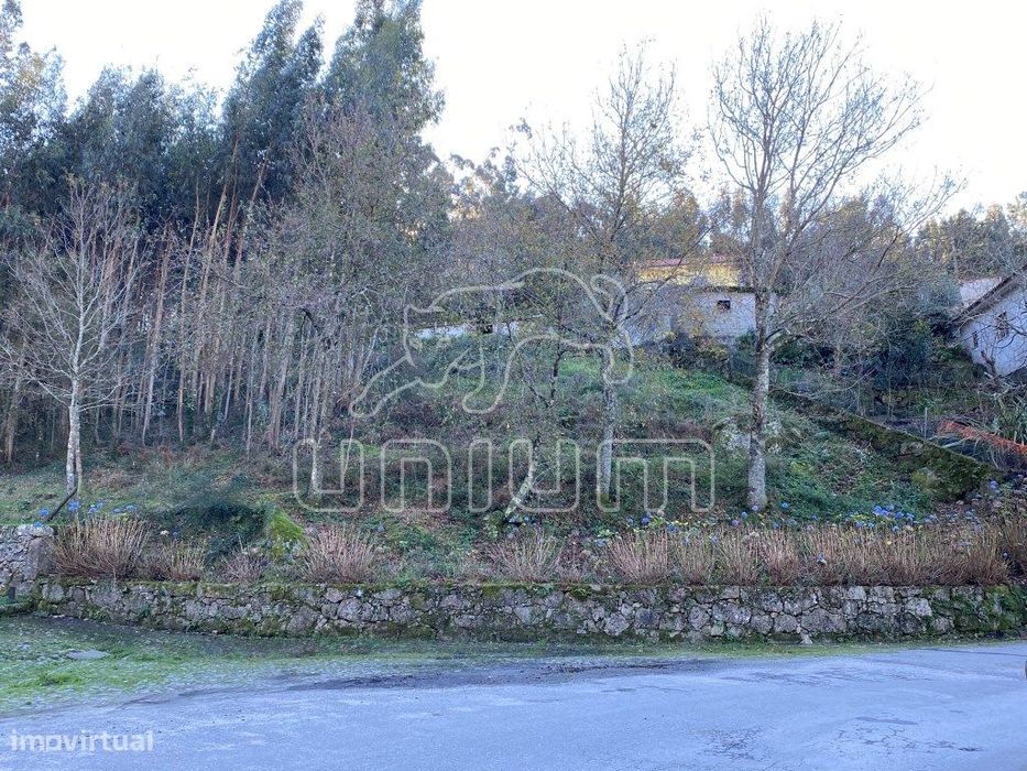 Terreno Portela Susã