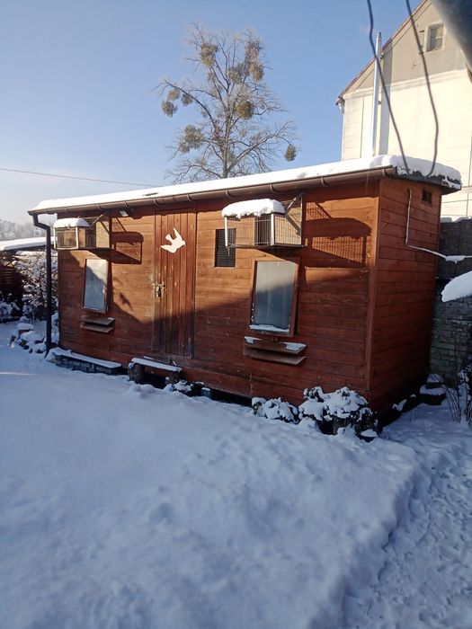 Gołębnik lotowy 5x2m gołębie pocztowe