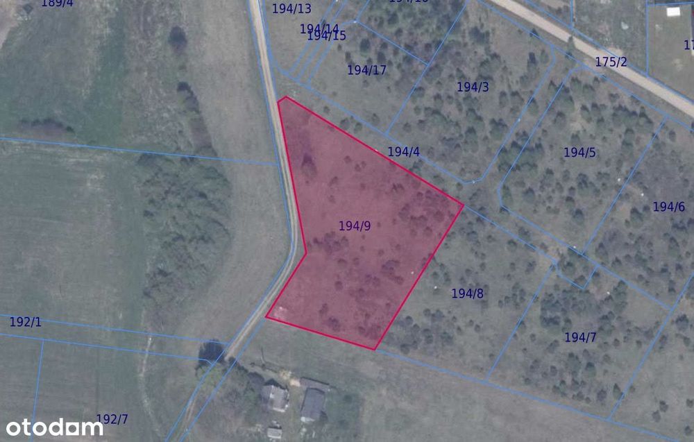 Działka 194/9 w miejscowości Ełganowo wraz z dostępem do drogi