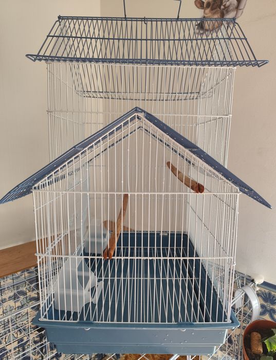 Gaiola de pássaros