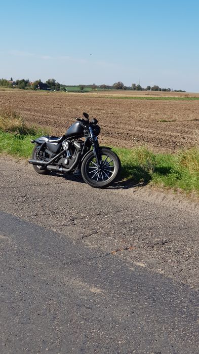 Harley Davidson Iron Sportster