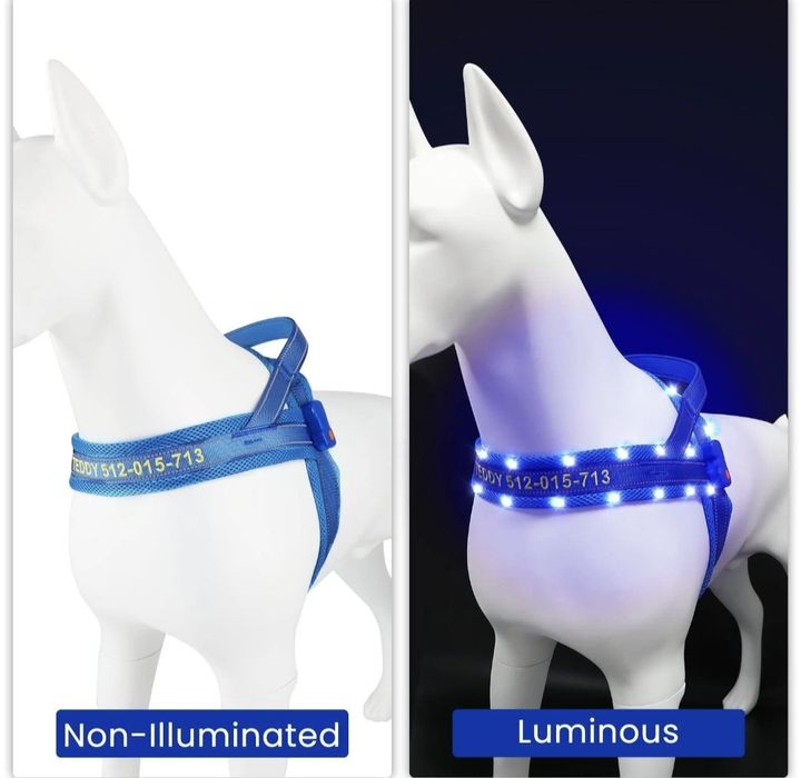 Szelki led dla psa