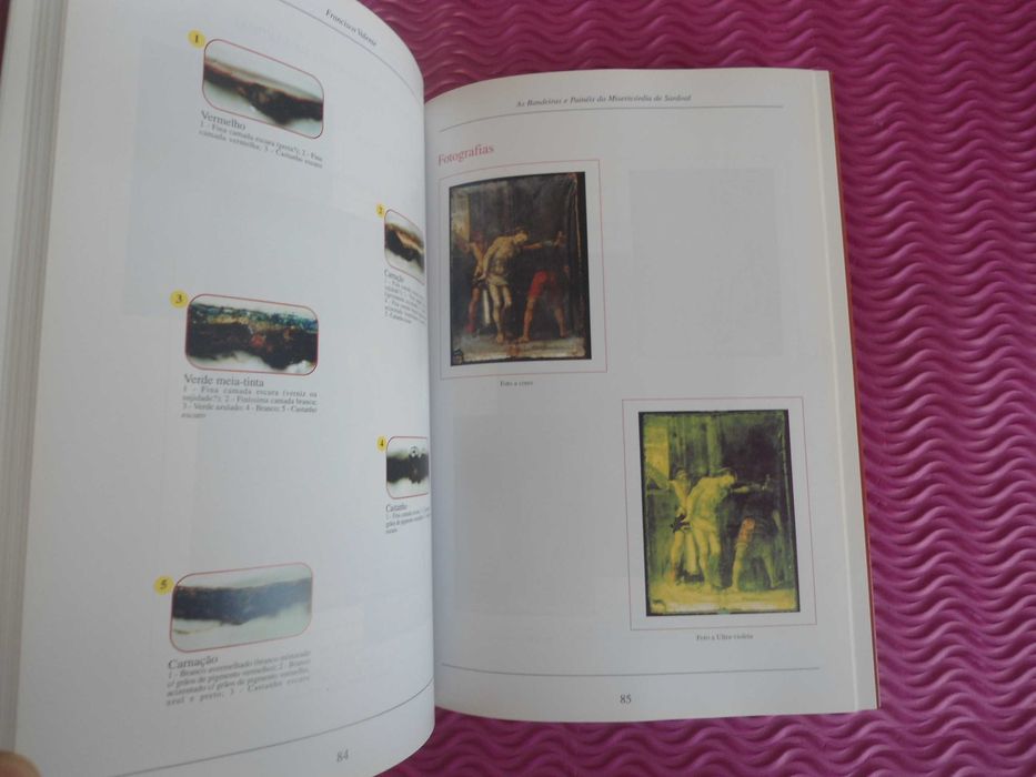 As Bandeiras e Painéis da Misericórdia do Sardoal de Francisco Valente