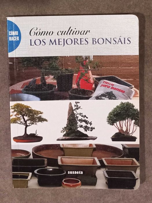 Cómo cultivar los mejores bonsáis
