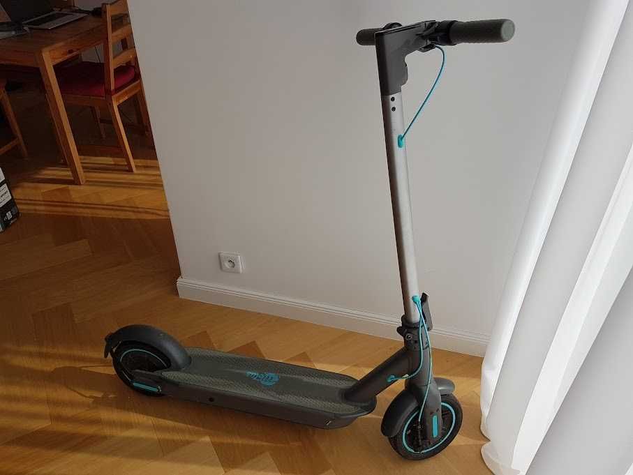 Hulajnoga elektryczna motus scooty 10