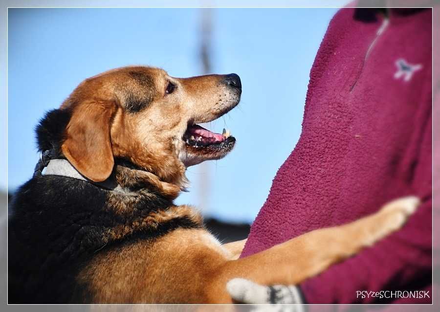 Witek – przy człowieku rozkwita jakby był szczeniakiem