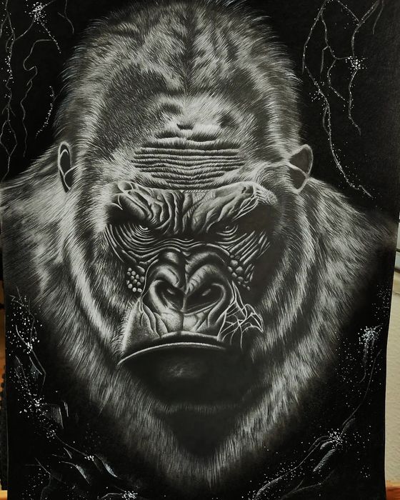 Retratos realistas e ilustrações