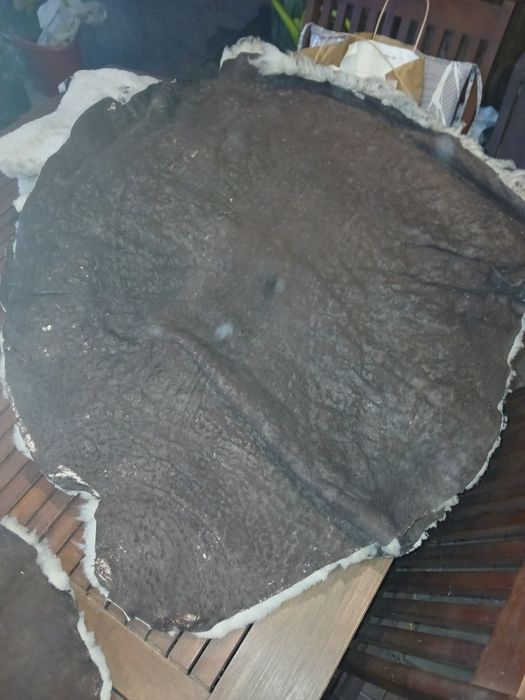 Sprzedam skóry owcze