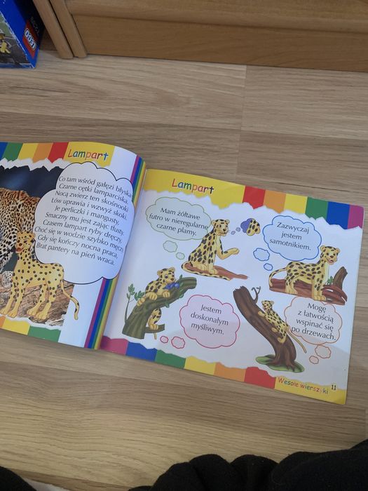 koty ksiazka edukacyjna dla dzieci