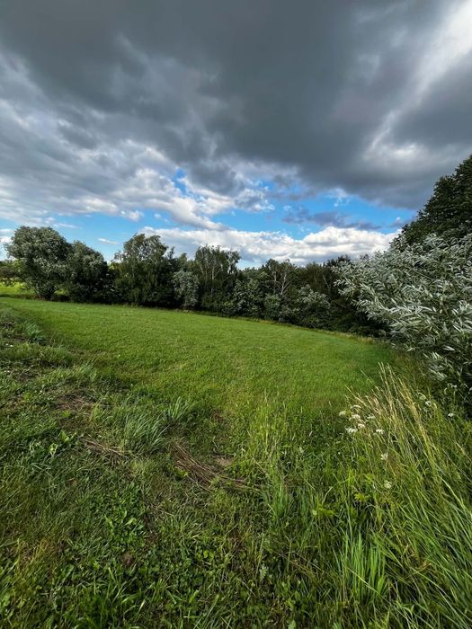 Działka rolna Wilczyska 44 ar