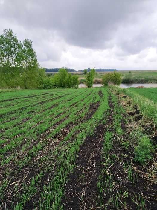 Продаж зем. ділянки с.Іванівка Обухівського р-ну З ВИХОДОМ ДО ВОДИ