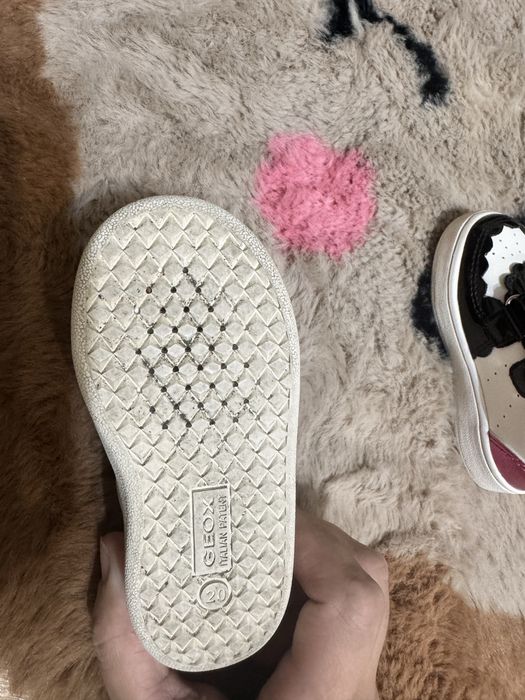 Buty Geox dla dziewczynki