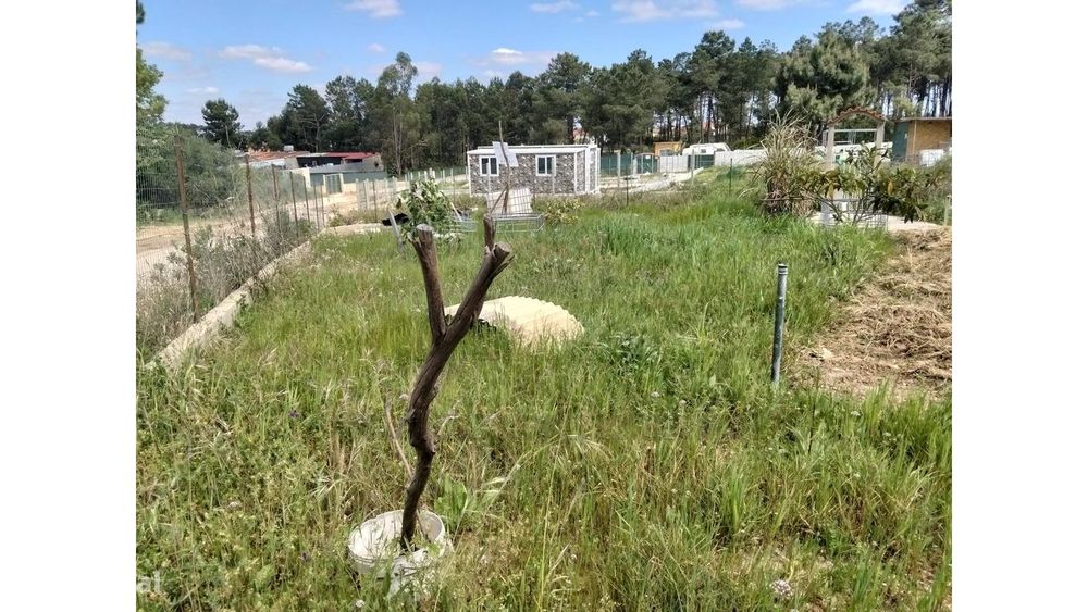 Terreno em Quinta daLobateira