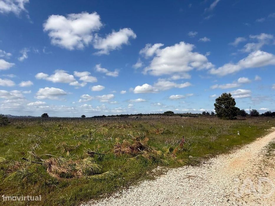Terreno Agrícola em Palmela