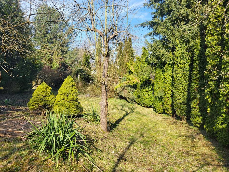 Przestronny ogródek działkowy ROD 625 m², z domkiem i przyłączami