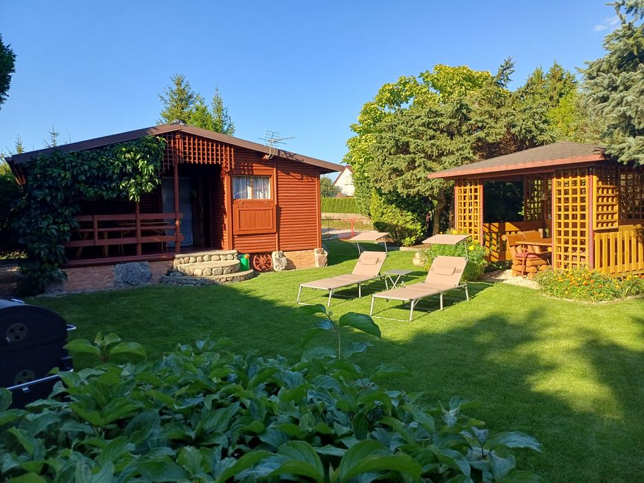 Sprzedaż działka ROD Wudzyn Międzylesie-Zachód