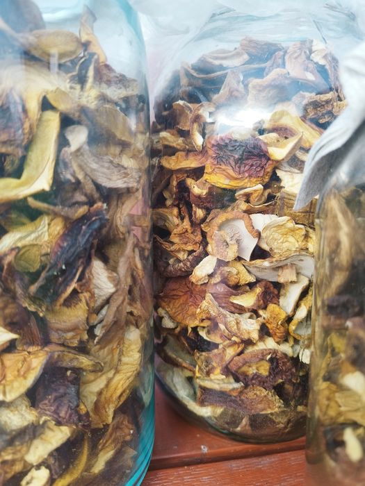 Suszone grzyby 2,3kg prawdziwek borowik