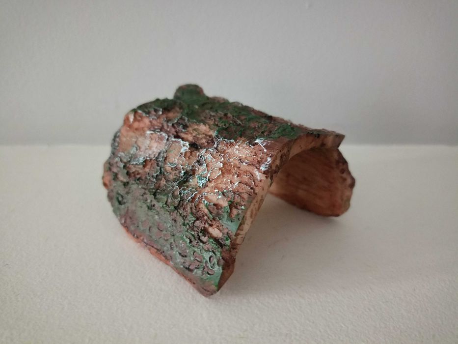 Mała wyspa dla żółwi