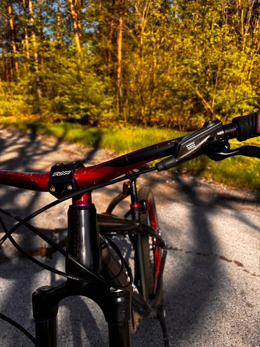 Dartmoor Hornet 2015