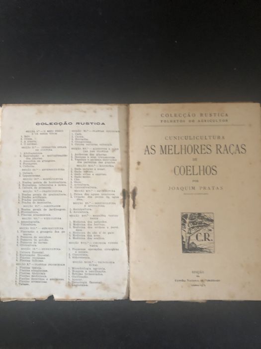 As Melhores Racas de Coelhos