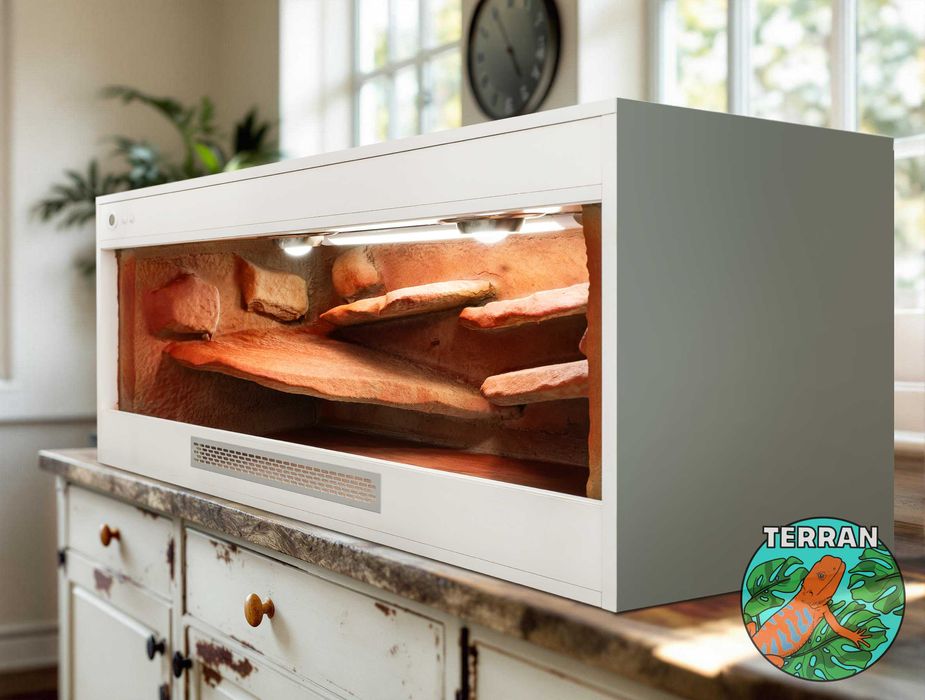 Terrarium 120x60x60 cm Anolis Gekon Agama wąż zbożowy