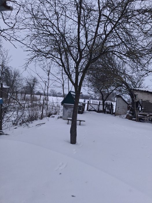 Продається будинок в селі Дмитрушки.