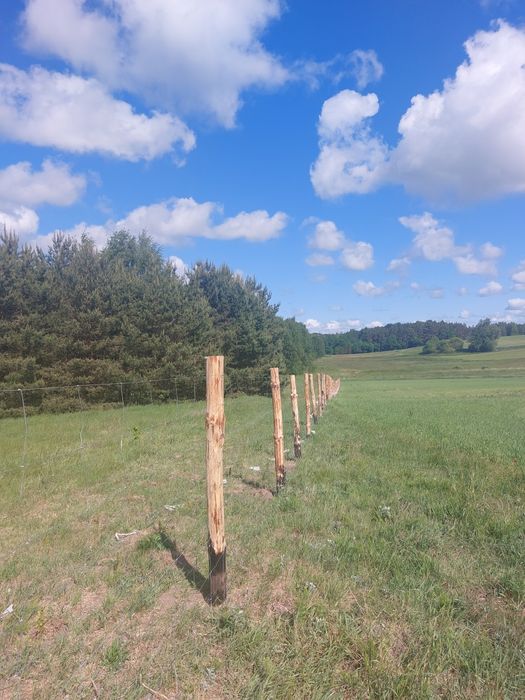 Ogrodzenie Lesne Tymczasowe Budowlane