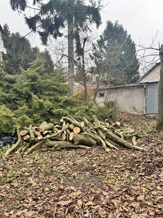 Drewno orzech odbiór własny