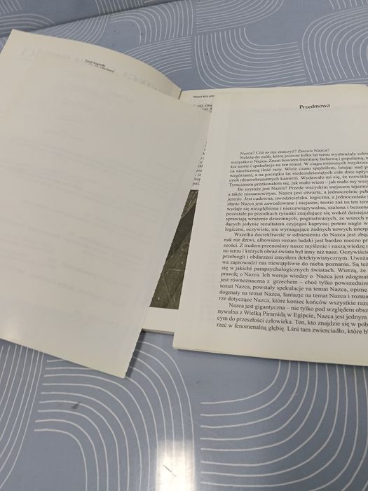 Znaki z przeszłości Erich Von Daniken