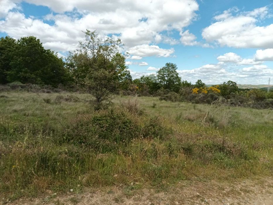 Terreno à venda em Paçó de Mós
