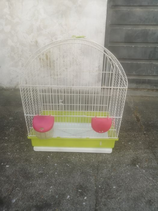 Várias gaiolas 4