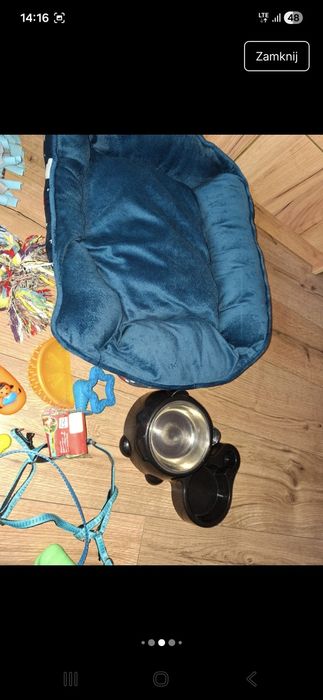 Dla psa to co na zdjęciach