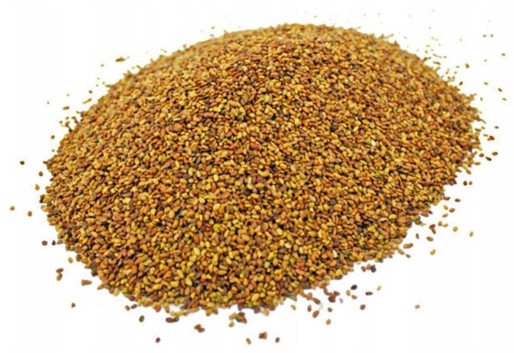 Życica trwała wielokwiatowa wiklina koniczyna lucerna festulolium kostrzewa łąkowa rajgras tymotka trawa ziarno trawy nasiona paszowe dostawa kupkówka