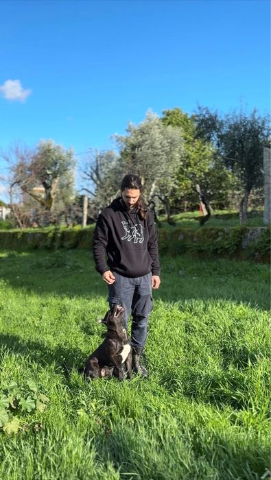 Treinador de Cães | Obediência