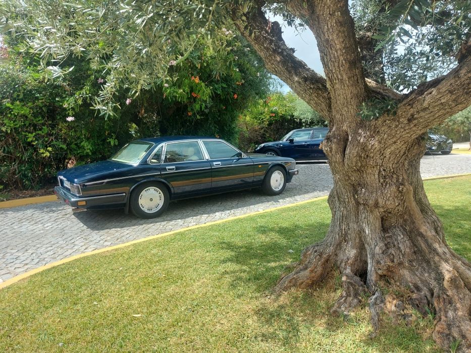 Jaguar Daimler Daimler foto 3